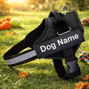 May include: Black dog harness with the text "Dog Name" in white. The harness has a reflective strip and a metal D-ring for leash attachment. A black buckle secures the harness. The background shows a grassy area with dog toys.