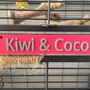 Op de afbeelding: Een roze rechthoekig bord met de namen "Kiwi & Coco" in zilveren letters. Het bord is bevestigd aan een zwarte kooi, met een touwzitstok eronder. Het bord heeft twee gaten om te bevestigen.