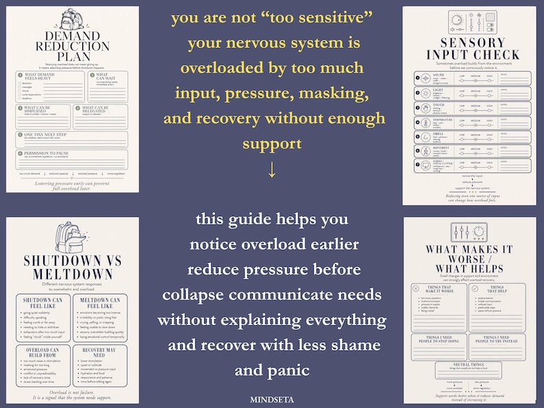 May include: A navy blue graphic with text and diagrams. The text reads "Demand Reduction Plan", "Shutdown vs Meltdown", "Sensory Input Check", and "What Makes it Worse/What Helps". The guide helps to notice overload and reduce pressure.