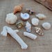 Sea Shells and Coral Beach Decor ~ Shells and Coral Assortment ~ Sea Shells and Coral