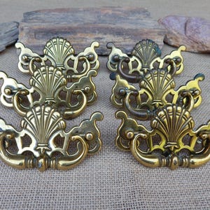 6 Brass Sea Shell Drop Bail Pulls  ~  1987 ILCO Unican Inc.  Canada  CP-2609  ~  Large Ornate Swing Bail or Drop Bail Pulls  ~  4 3/8"  Wide