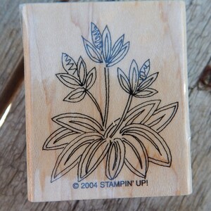 Peut inclure: Un tampon en bois avec un dessin au trait noir d'une fleur &agrave; plusieurs p&eacute;tales et feuilles. Le tampon est &eacute;tiquet&eacute; "&copy; 2004 STAMPIN' UP!"