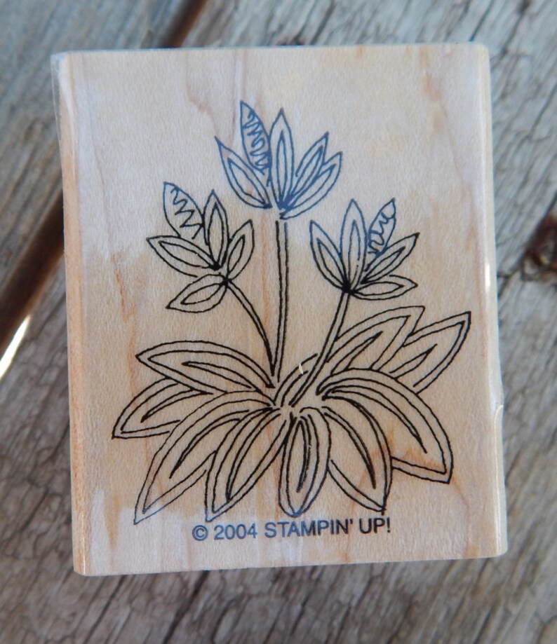 Peut inclure: Un tampon en bois avec un dessin au trait noir d'une fleur &agrave; plusieurs p&eacute;tales et feuilles. Le tampon est &eacute;tiquet&eacute; "&copy; 2004 STAMPIN' UP!"
