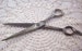 Antique Chipaway Scissors  /  Antique Scissors  /  Antique Chipaway Cutlery Co Scissors   /   Marked Oct 1894    /  FREE SHIPPING 