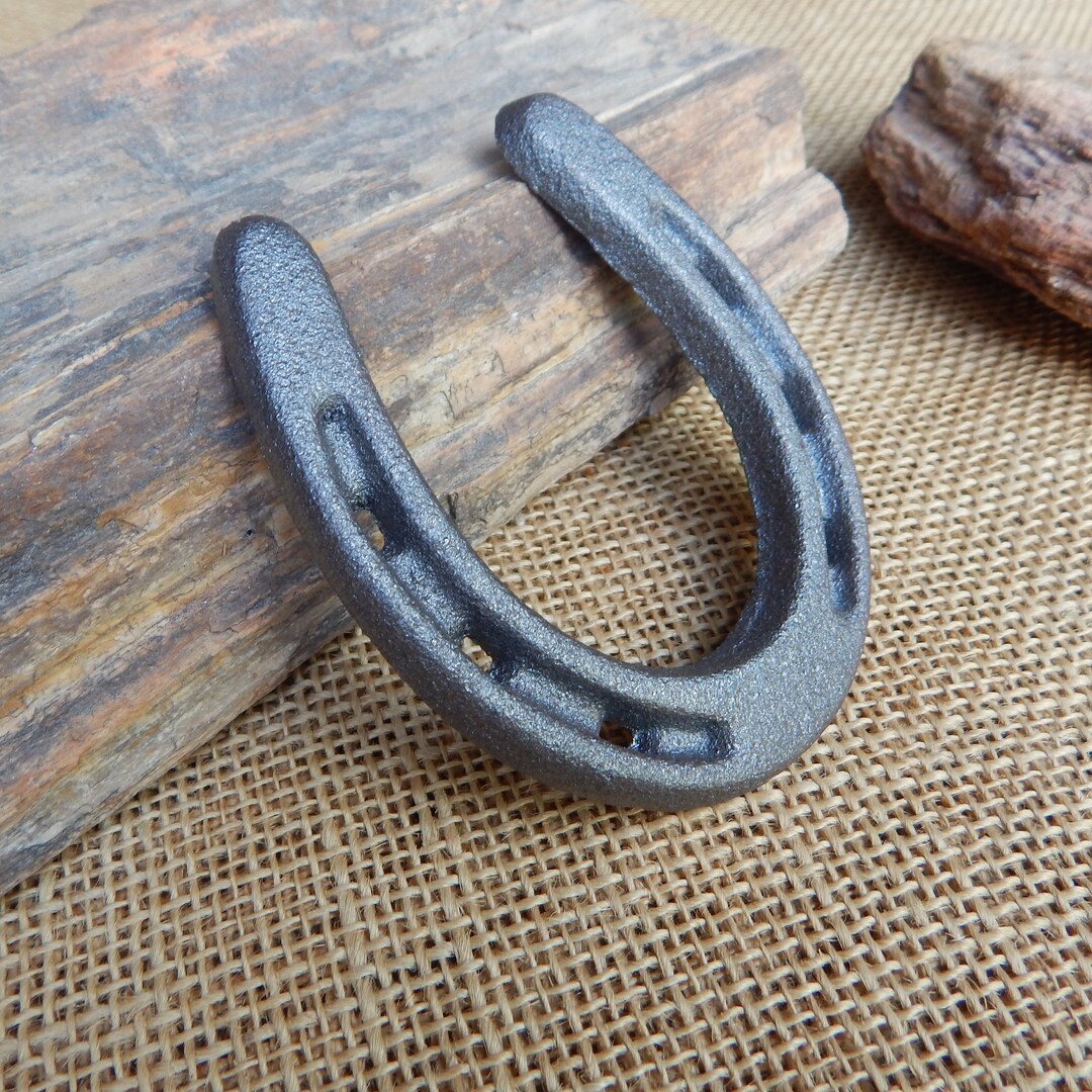 Pony Horseshoe / Small Powder Coated Horseshoe / Gray Powder Etsy