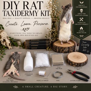 May include: A DIY rat taxidermy kit featuring a real rat skin, a styrofoam insert, stuffing, clay for the head, needle and thread, wire, cutting pliers, and a wood slice base. The text reads DIY RAT TAXIDERMY KIT, Create. Learn. Preserve.