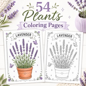 Könnte beinhalten: Eine Sammlung von 54 Pflanzen-Malvorlagen mit zwei Lavendel-Illustrationen. Eine Seite ist mit violettem Lavendel in einem Terrakottatopf koloriert, die andere ist eine Schwarz-Weiß-Strichzeichnung. Beide Seiten enthalten den Text Lavender.