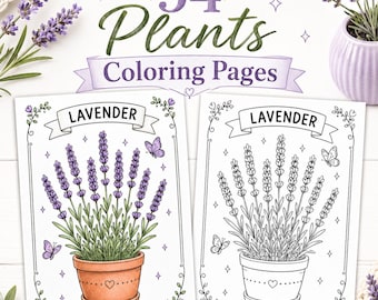 May include: A collection of 54 plants colouring pages featuring two lavender illustrations. One page is coloured with purple lavender in a terracotta pot, and the other is a black and white line art version. Both pages include the text Lavender.