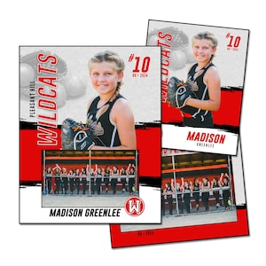 PACK BALLES DE BALLES AO | Modèle numérique Adobe Photoshop Memory Mate | Modèle Photoshop de sport pour équipes et individus | Fichier numérique uniquement