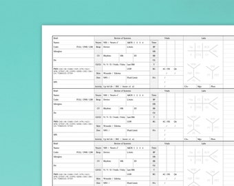 Trifold Nurse Report Sheet