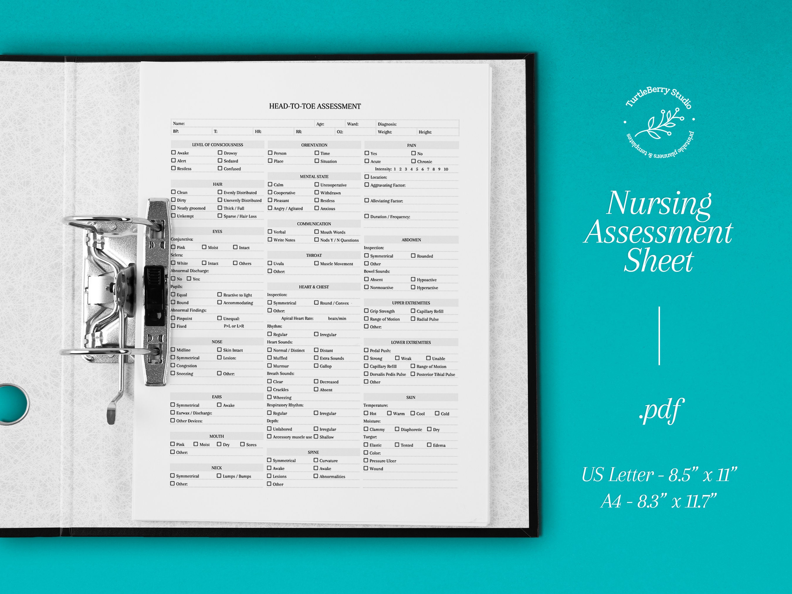 Head to Toe Nursing Assessment Sheet - Etsy