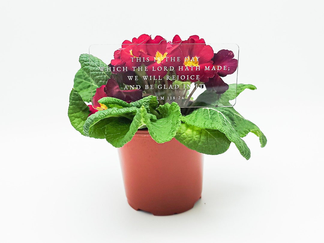 Psalm 11824 Plant Stake Bible Verse This is the Day Which Etsy