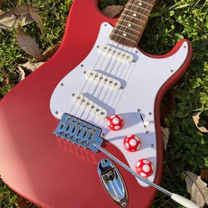 Mushroom Guitar Knob