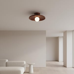 May include: A modern ceiling light fixture with a circular, reddish-brown shade and a spherical, white light bulb. The fixture is mounted on a white ceiling. The room has a minimalist design with neutral-colored walls and a light-colored wooden floor.