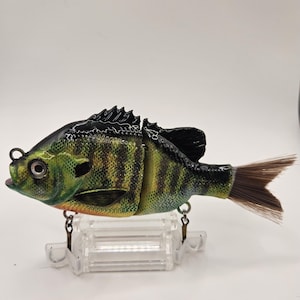 May include: A detailed fishing lure shaped like a fish, featuring a green and yellow striped body with black accents. The lure has a realistic eye, fins, and a brown tail. It is suspended by metal hooks and displayed on a clear plastic stand.