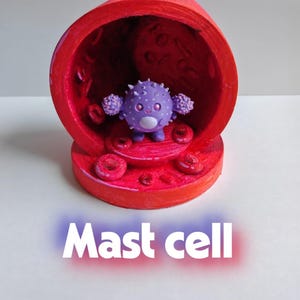 Può includere: Una statuetta sferica viola e appuntita con un viso sorridente e piccole braccia, posizionata all'interno di una struttura rossa circolare a forma di ciotola, decorata con elementi rossi a forma di disco. Il testo "Mast cell" è scritto in bianco.
