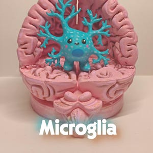 Op de afbeelding: Een roze, getextureerd anatomisch hersenmodel met een centraal, lichtblauw, vertakt neuronenfiguur met een lachend gezicht, witte stippen en een donkerblauwe cirkelvormige vlek op de romp, met het woord Microglia in het wit eronder.