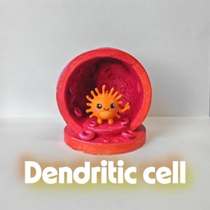 Cellula dendritica – Immunologia, biologia, regalo scientifico dipinto a mano