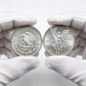 1985 liberty coin - Etsy 日本