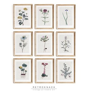 9 Botanical Prints Flowers, Gallery Wall SET | PRINTABLE Wall Art Minimalist | Farmhouse Decor | BT3