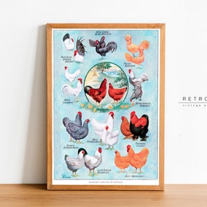 Chicken Breeds Poster | Printable Wall Art | Farmhouse Decor | Chicken Lover Gift | Cottagecore, Country Decor | EP18