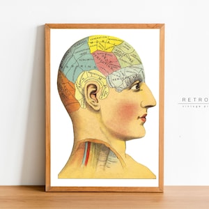 Antieke PHRENOLOGIE Print, HOOFD | Afdrukbare muurkunstwetenschap van de geest, 19e C-grafiek | Digitale download | EP14
