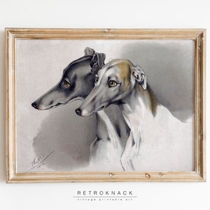 GREYHOUND Hunde Portrait | Atemberaubender Französischer Antiker Druck, Haustier Porträt | PT40
