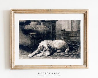 Arte de pared imprimible de Jack Russell Terrier / Retrato de perro / Impresión digital de Jack Russell / AK1