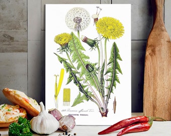 Dandelion Art | Printable Wall Art | Wildflowers Prints | Botanical Prints | Farmhouse Decor | BT8