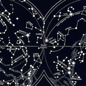 Mappa delle costellazioni del cielo australe e boreale / Arte murale stampabile / Decorazione celeste / Stampa digitale della mappa delle stelle vintage / EP26