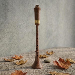 May include: A wooden wind instrument with a flared base and a narrow, cylindrical body. It features a brass band and several finger holes. The instrument is brown and stands upright on a stone surface, surrounded by fallen leaves.