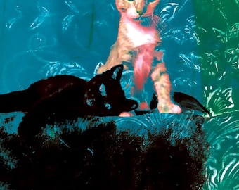 Rêves félins - Rêves de bébé