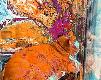 Feline Dreams - Dreaming of Tiger Lillies