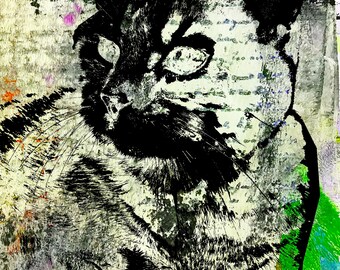 Rêves félins - La rêverie de Sarah