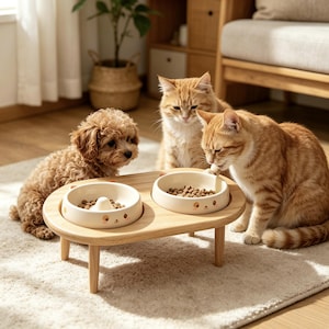 May include: A light-colored wooden pet feeder stand with four short legs, featuring two round, cream-colored ceramic bowls with small bear face illustrations. One bowl contains a central raised post, and both are filled with dry pet food kibble.