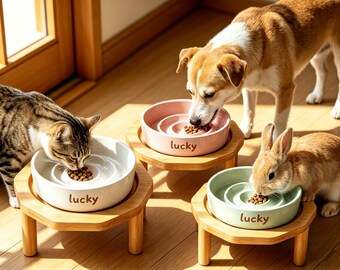 Large Ceramic Dog Slow Feeder Bowl Made of high-quality ceramic . Extend Feeding Time, Reduce Intake, Prevent Obesity – Scientific Feeding