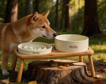 Tigela de cerâmica para alimentação lenta de cães, com suporte elevado de bambu, feita à mão no Nepal.