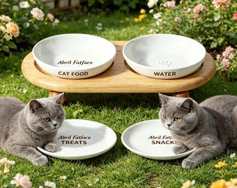 Custom Name Ceramic Cat Bowl with Elevated Wood Stand, Personalized Raised Pet Feeder, Modern Cat Dish Set, Handcrafted in Nepal