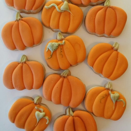 カレンデュラページ 2025 有機栽培カレンデュラ種子 - Etsy 日本