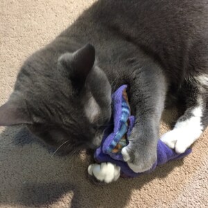 Dragon Wing Catnip Toy image 5