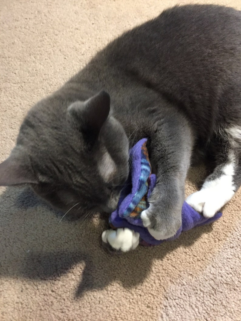 Dragon Wing Catnip Toy image 5