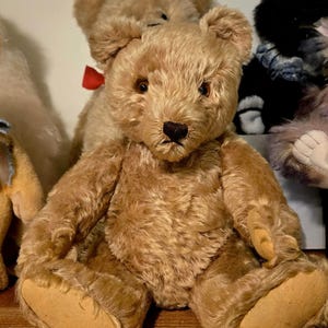 Steiff Teddy Bears 1950 1950s - Etsy