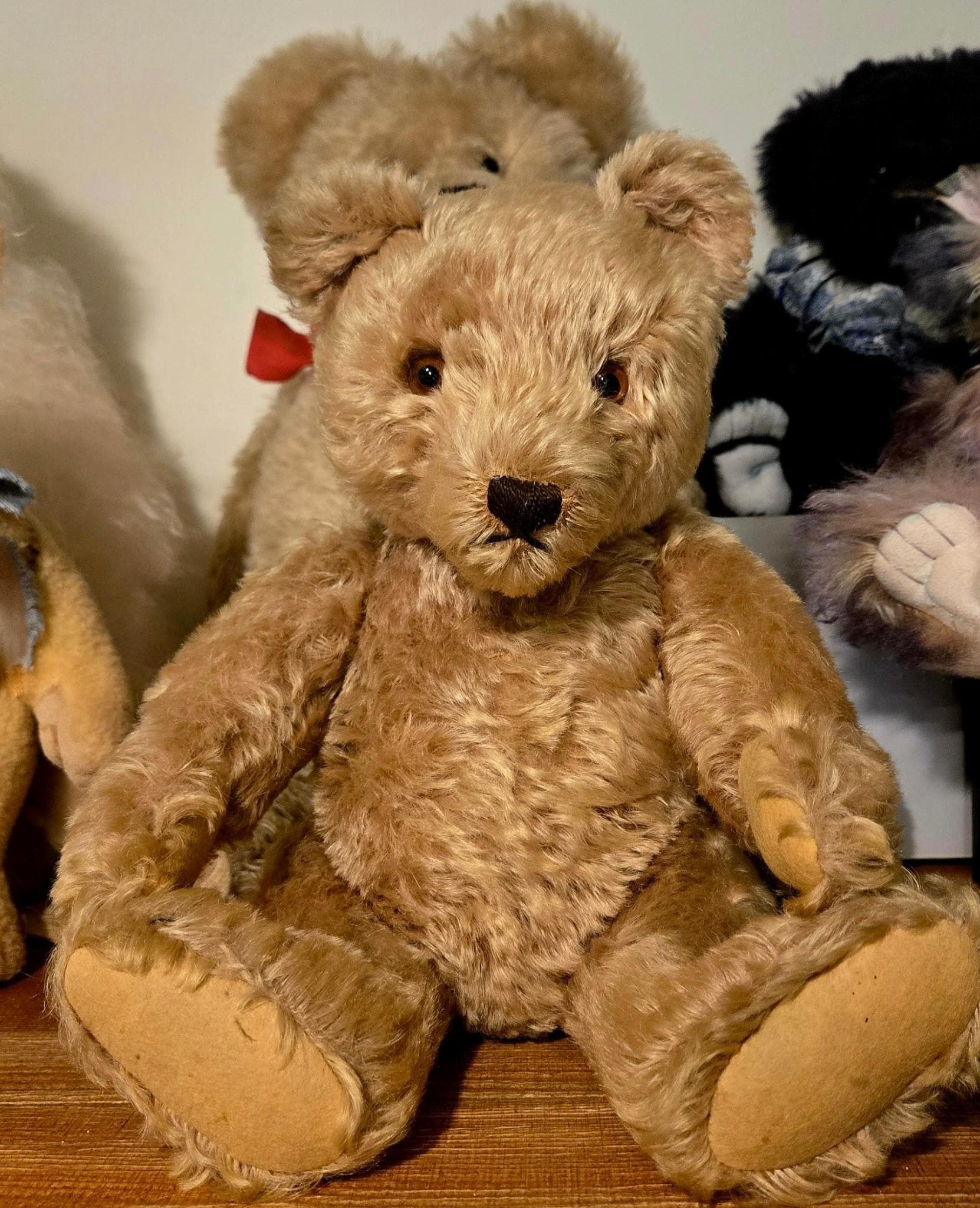 Steiff teddy bears 1950 1950s - Etsy 日本