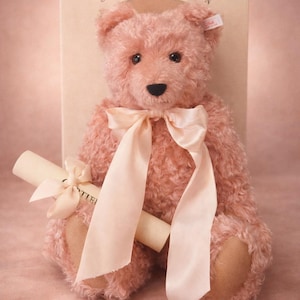 Puede incluir: Un oso de peluche rosa con un lazo de satén y un pergamino enrollado. El oso tiene una nariz negra y ojos oscuros. La caja detrás del oso dice "SPECIAL US-EDITION".