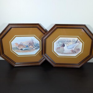 May include: Two octagonal wooden frames featuring bird illustrations. The left frame displays a brown bird on rocky terrain, while the right frame shows a white and grey bird swimming in water with smaller birds nearby. Both have mustard-colored mats.