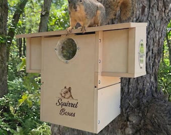 Twin Tails Lodge Squirrel Box