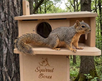 Economy Lodge Squirrel Nesting Box: Composite, Single Entrance, Predator Protection