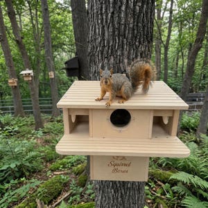 Porchside Paradise Squirrel Nesting Box: Composite, Dual Entrance, Predator Protection
