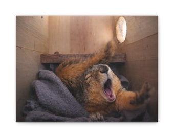 Emma Wakes Matte Canvas, Stretched, 1.25