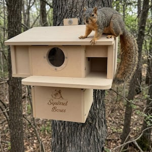 Double Entry Retreat Squirrel Nesting Box: Composite, Dual Entrance, Predator Protection
